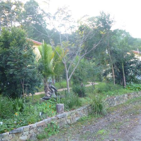 Teretre Cabins Nimbin Villa Exteriör bild
