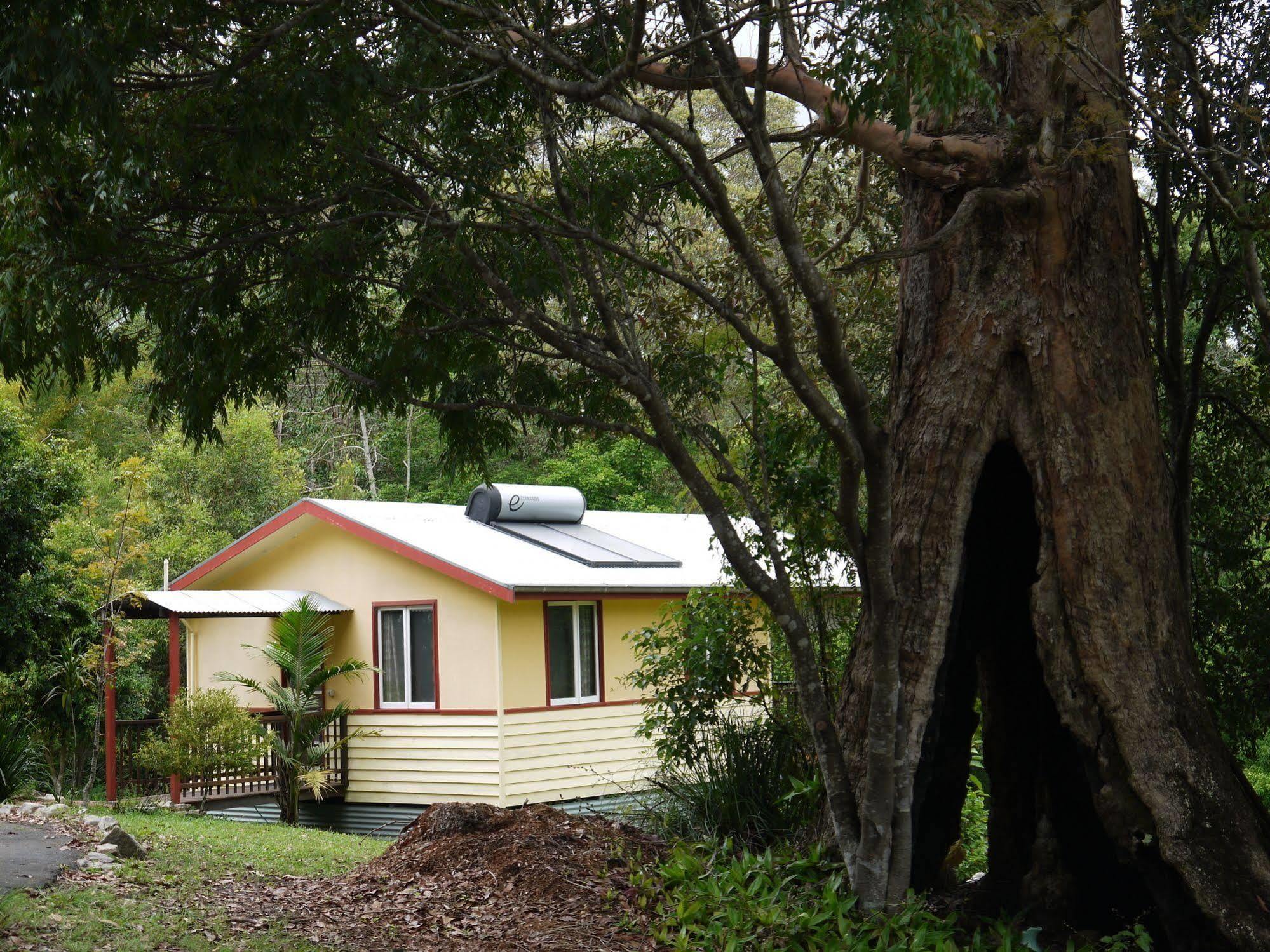 Teretre Cabins Nimbin Villa Exteriör bild